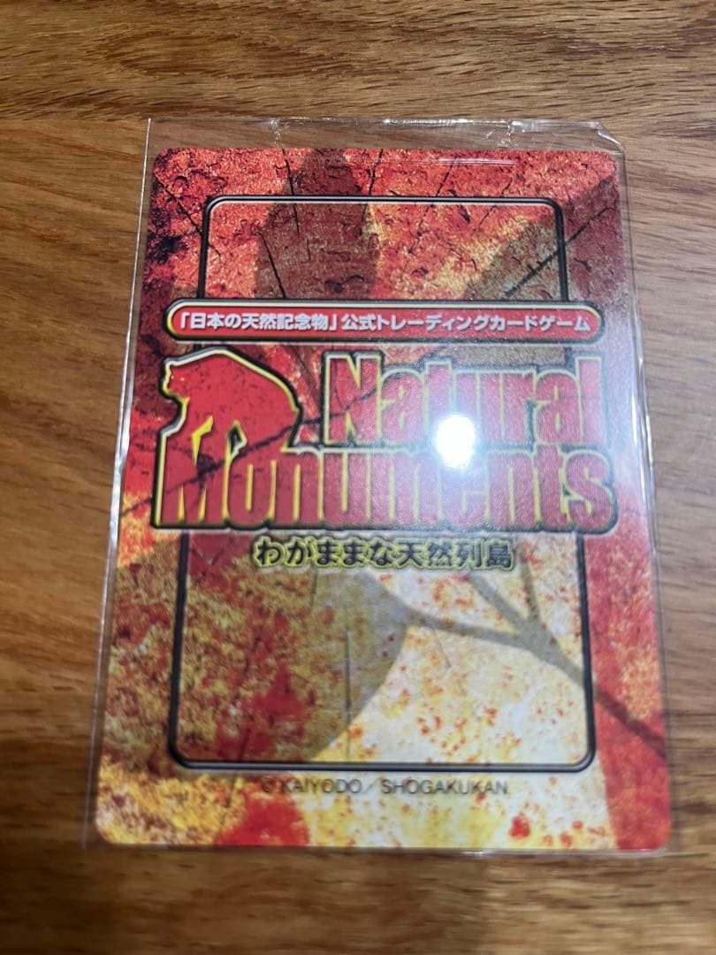 Natural Monuments 柴犬 SP0003 INVASION 希少