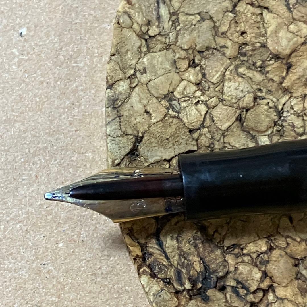 THE SWAN PEN スワン　両ベロ万年筆　1613