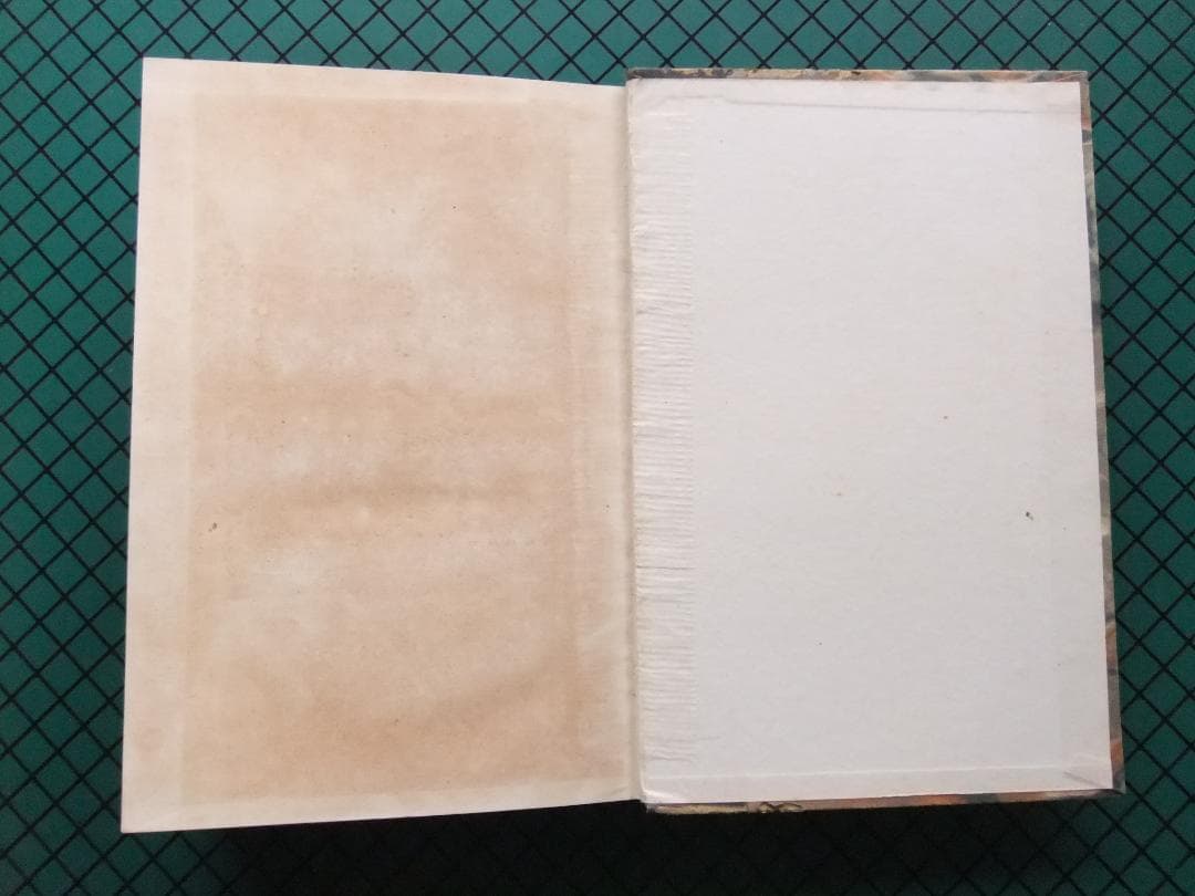 谷崎潤一郎　「人魚の嘆き」　初版本・昭和２年・春陽堂・函