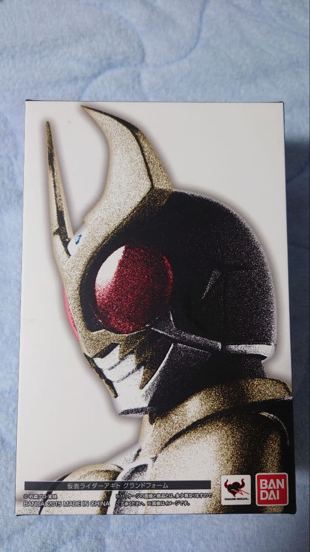 S.H.Figuarts　真骨彫　仮面ライダーアギト