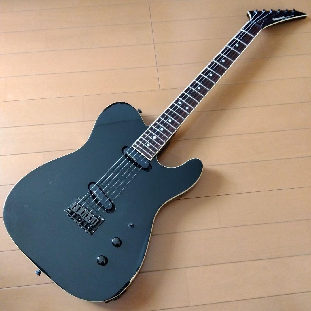 FERNANDES　TEJ-70　F.G.I. テクノロジー　アクティブPU