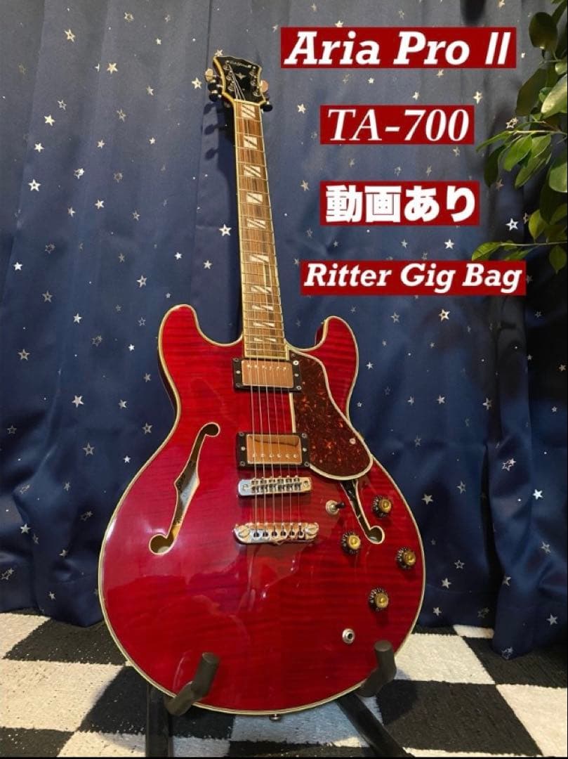 Aria Pro 2 TA-700 (Ritter Gig Bag付き)