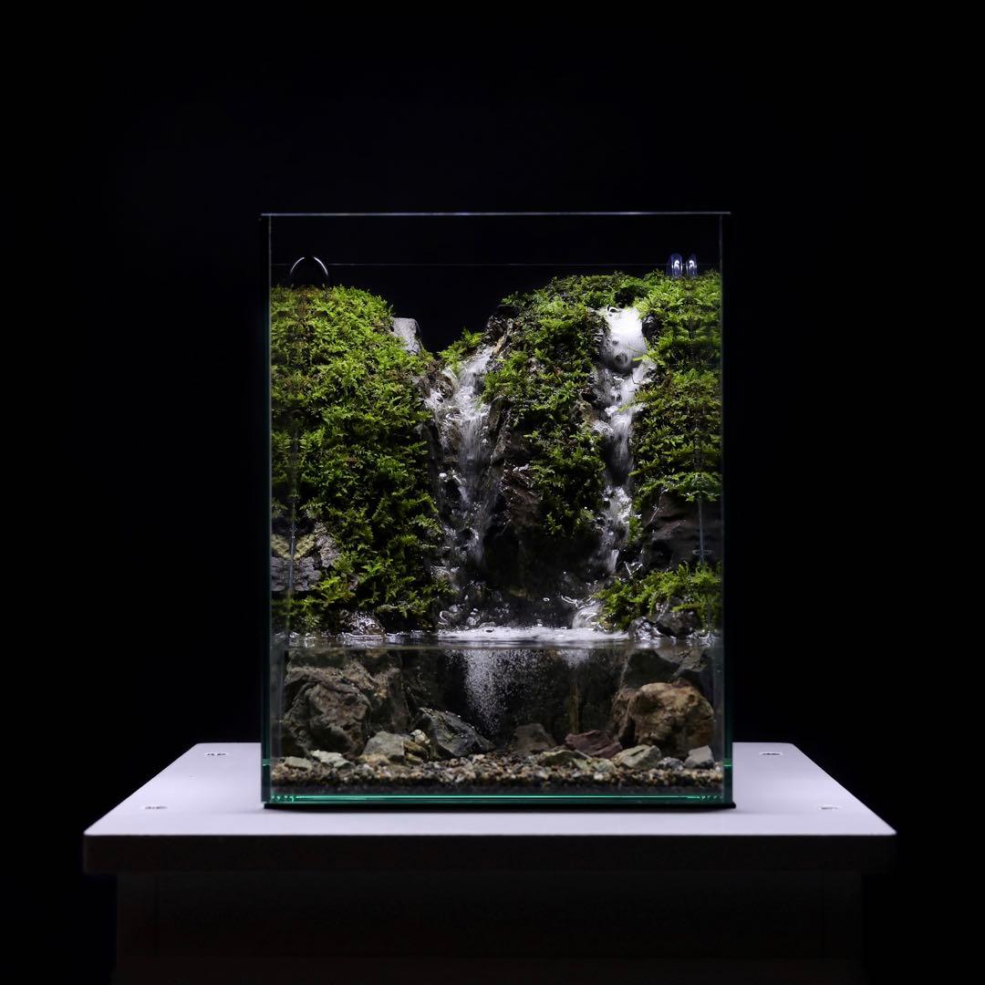 アクアテラリウム　レイアウト作品　228