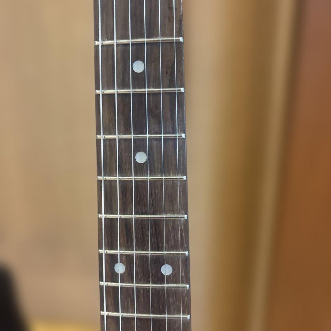 Legend ストラトタイプ アーム付 新品弦張替済 ソフトケース（オマケ）