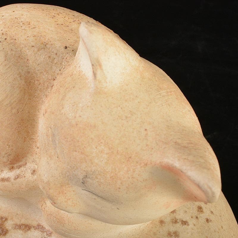 備前焼　古備前　白備前　猫　置物　M　R7151