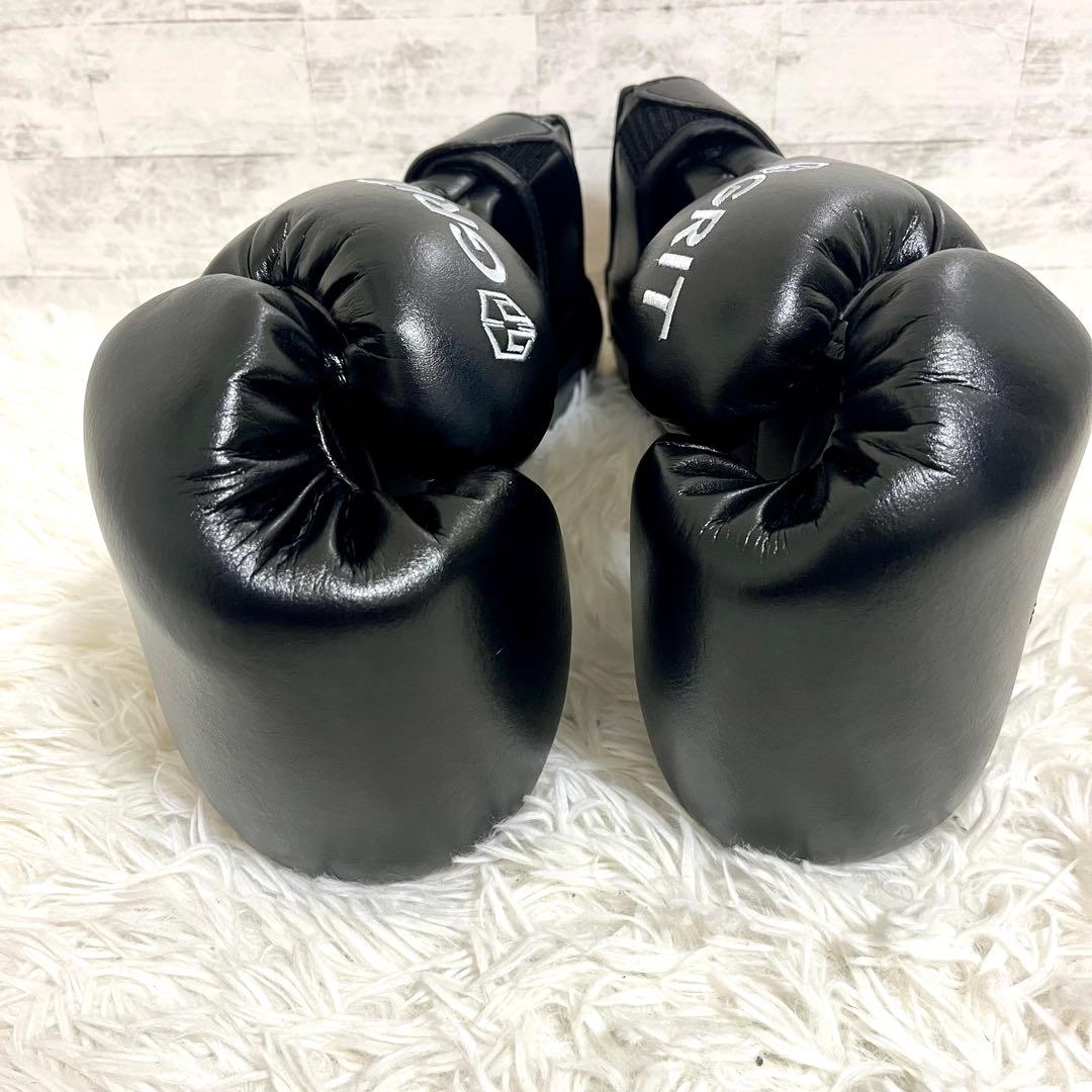 新品　未使用　GRIT BOXING GLOVE ボクシンググローブ