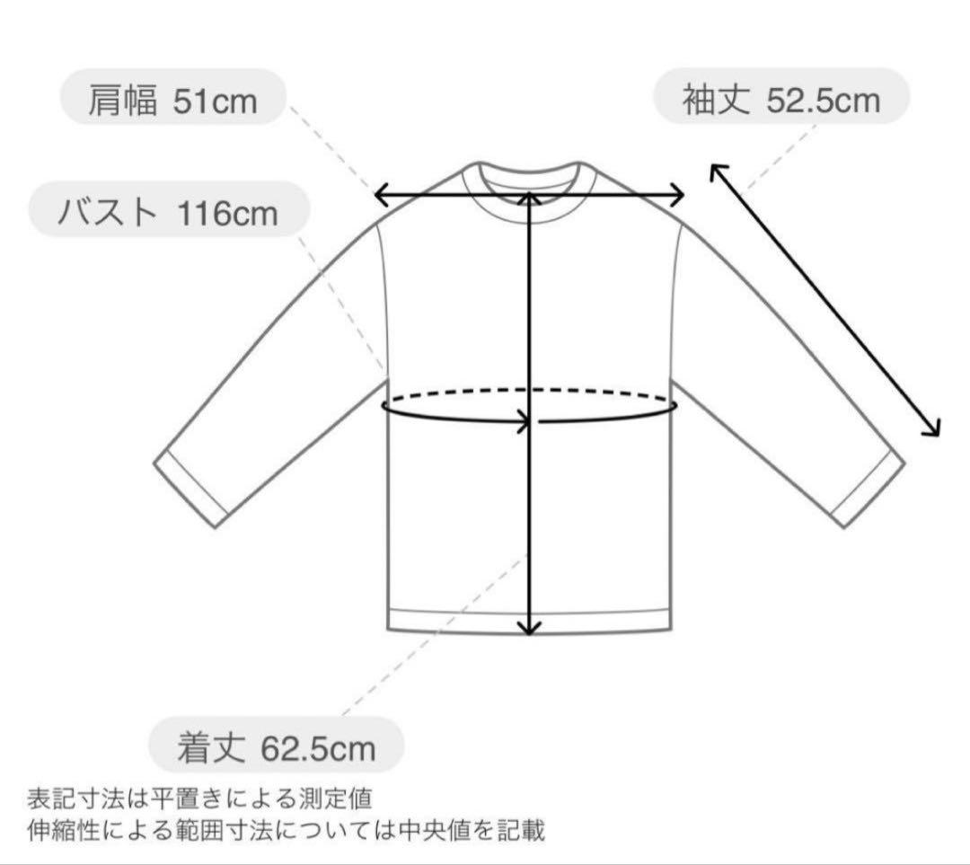 ＊未開封【PEANUTS】 SNOOPY BEAR ジャガードプルオーバー