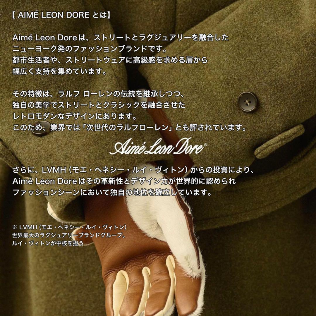 【ラスト1点】 エメレオンドレ フィンガーレス グローブ タン L/XL