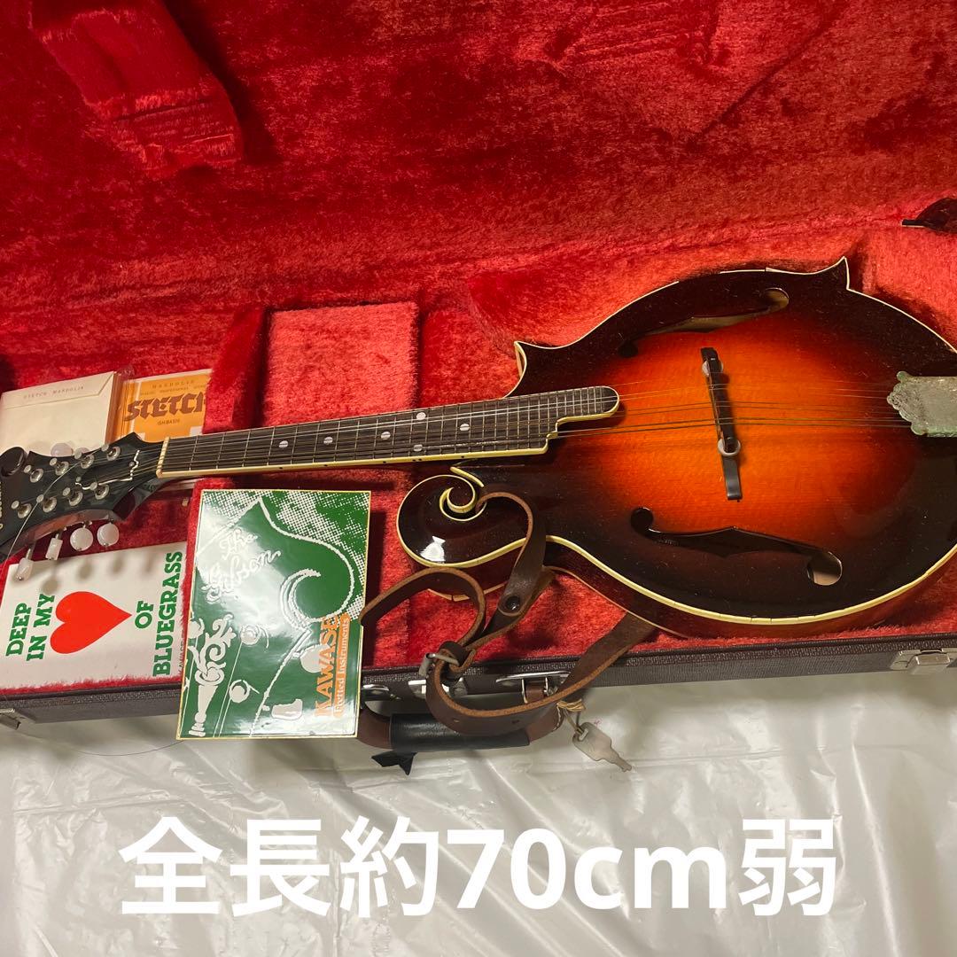 グラスランド　フラットマンドリン　ケース付き　カワセ