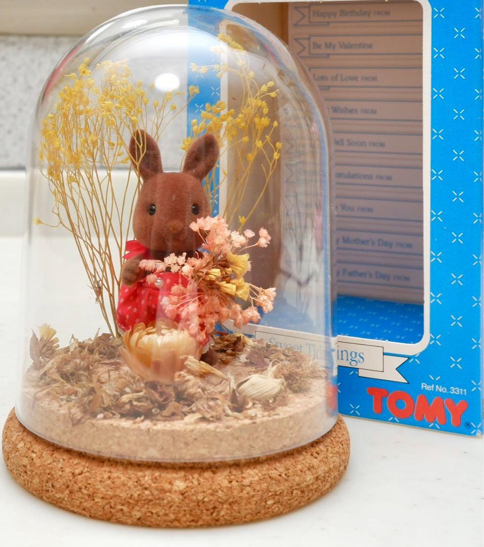 【ポメラニアン クロ】