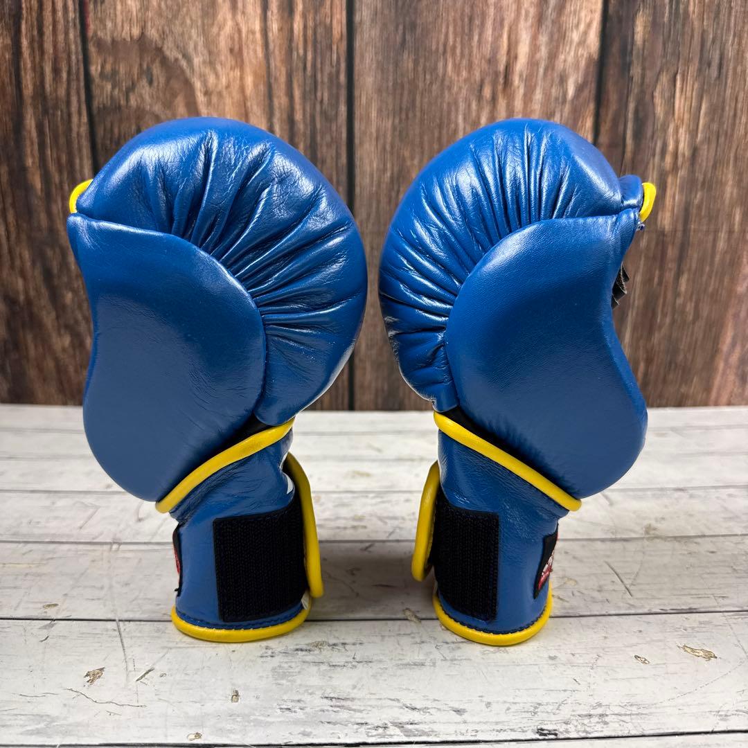 ISAMI パウンドグローブ グローブ フリーサイズ ボクシング 格闘技