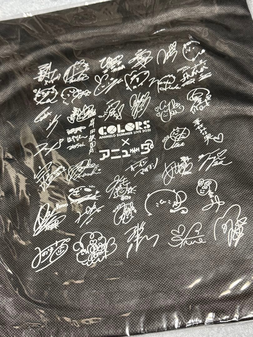 オーイシマサヨシ　グッズ　サイン名刺　クリアファイル　ライブフォト　まとめ
