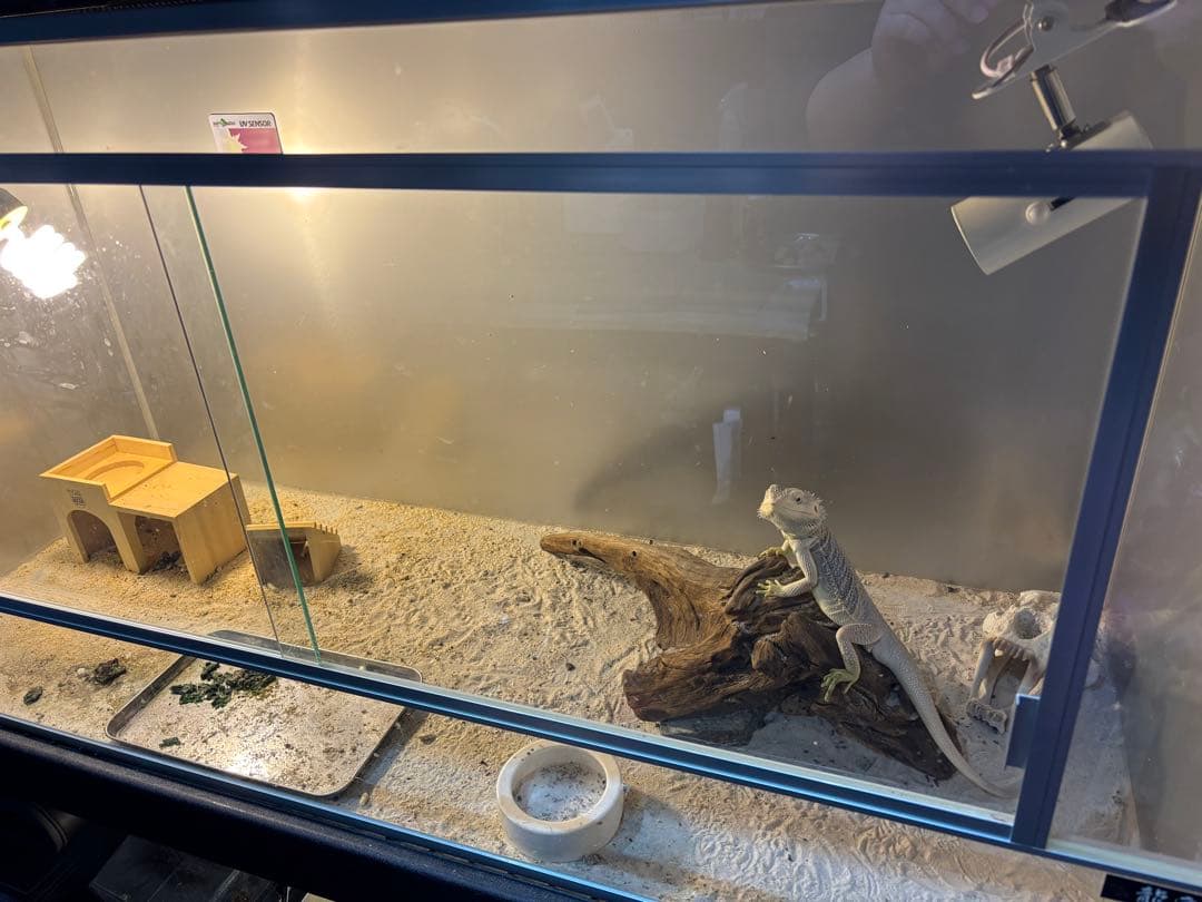 爬虫類　龍匠ケージ　まとめ売り