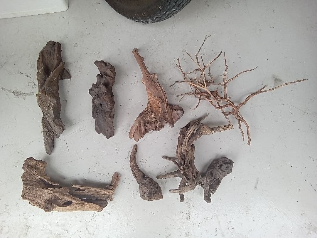 流木　詰め合わせ