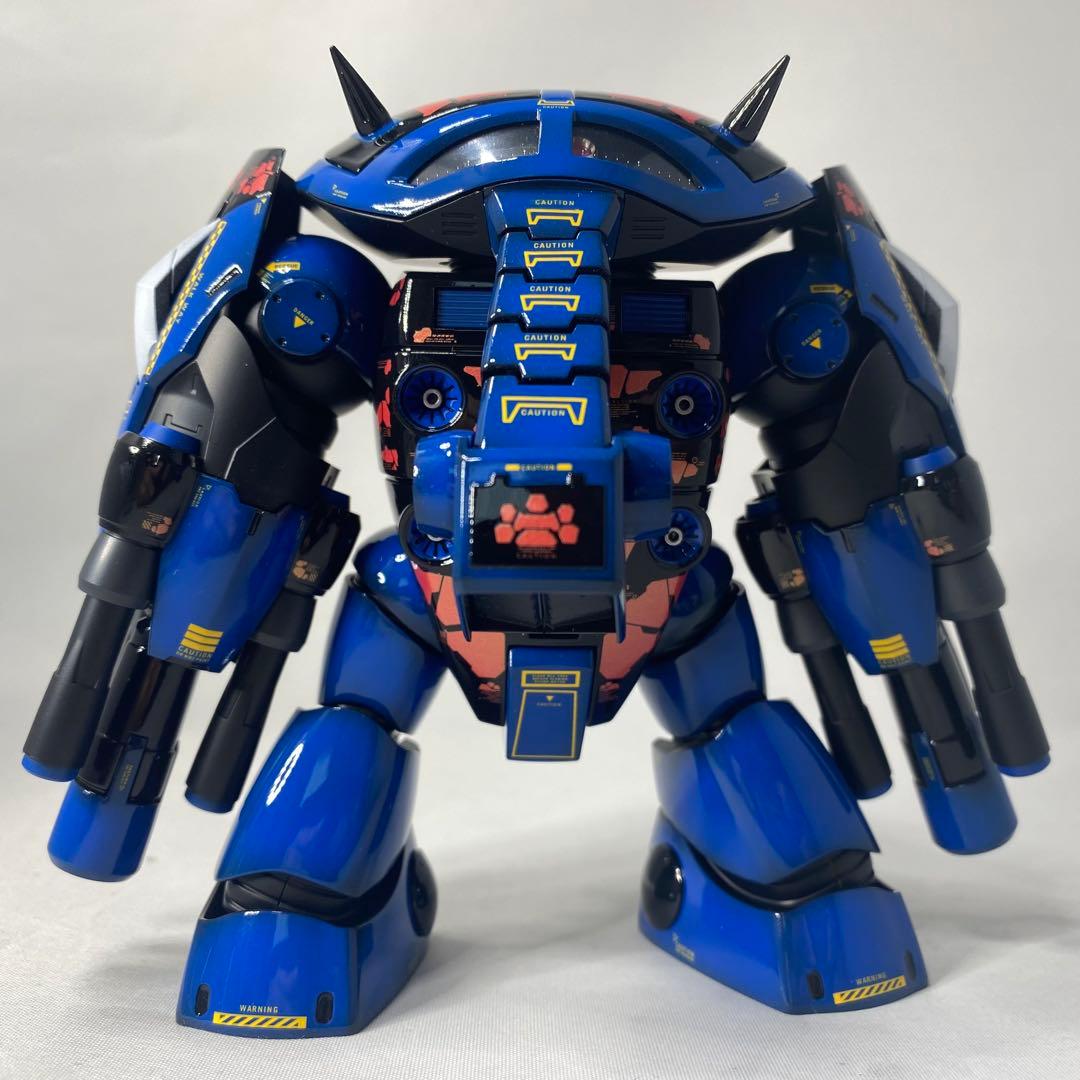 Taisa 　HG アメイジングジュアッグ　全塗装　完成品　塗装済ガンプラ