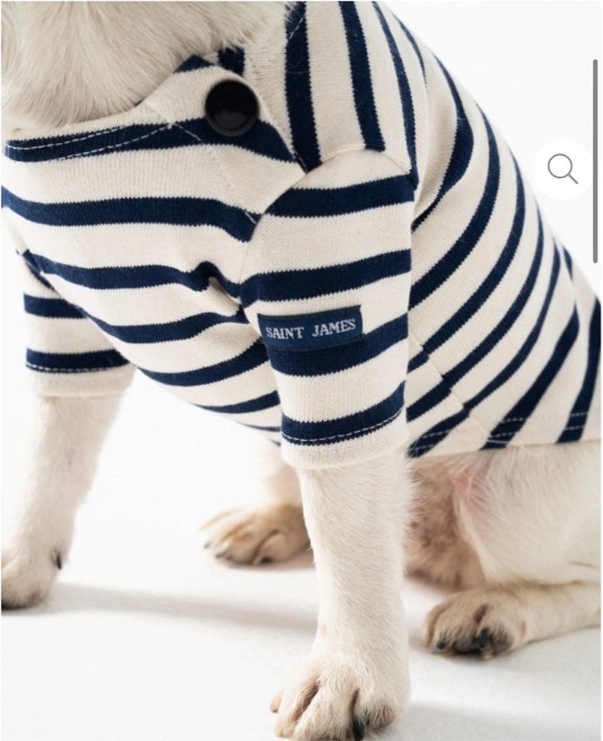 【新品未使用／日本未入荷】セントジェームス 犬服 XLサイズ　フランスパビリオン