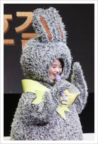 IU アイユー トッキユ うさぎU ぬいぐるみ 20cm