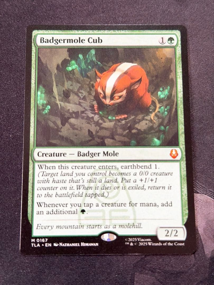 アナグマモグラの仔　英語