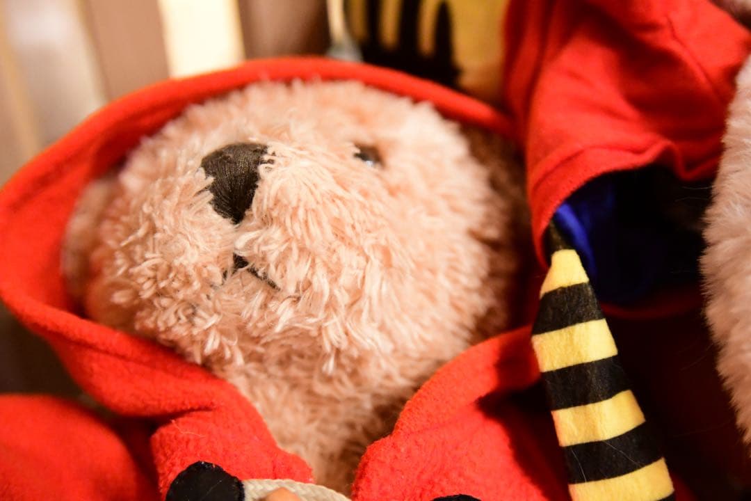 SIGMA 28-70mm F2.8 ニコンFマウント