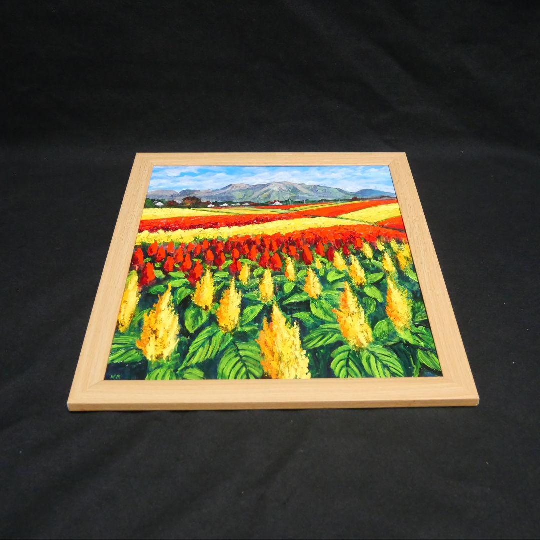 【秋日和のケイトウ】絵画 油彩 油彩画 絵 油絵