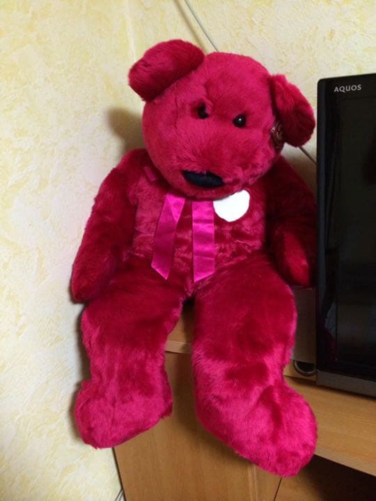 ty BeanieBuddy バレンティナ Valentina エクストララージ