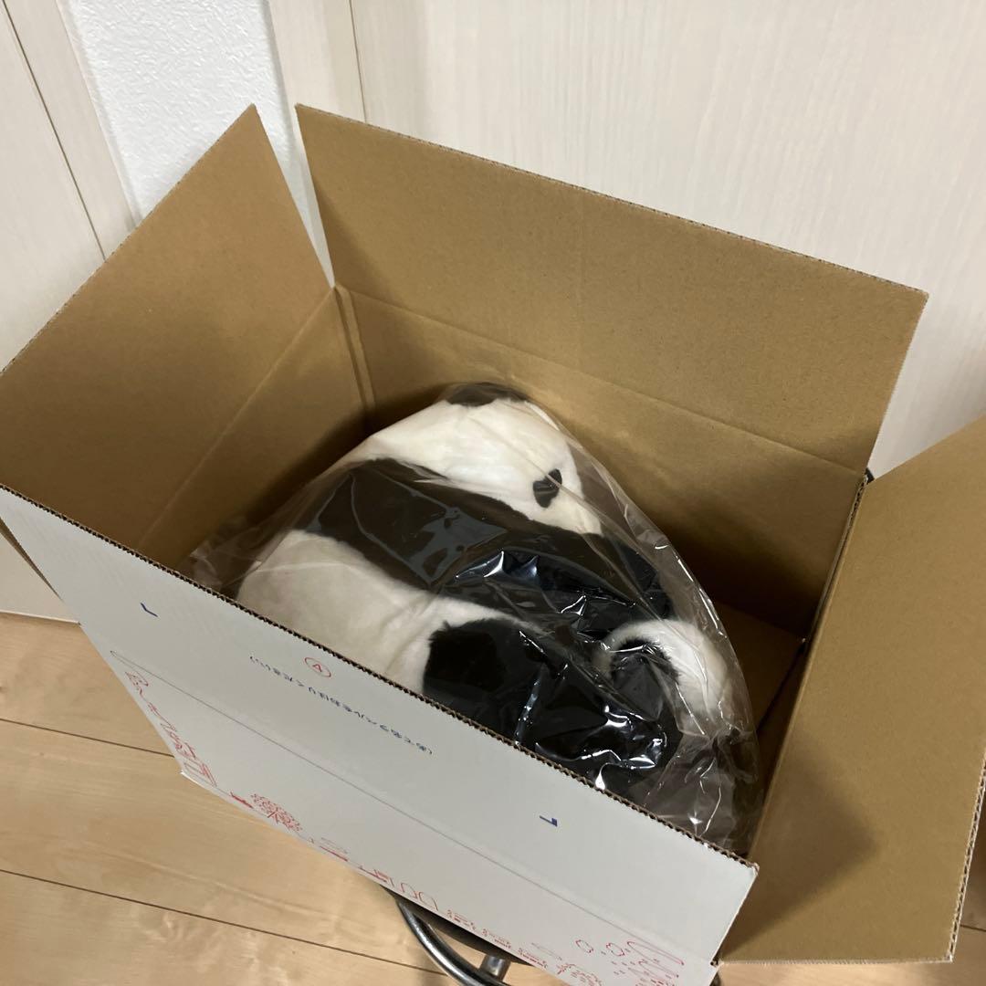 真真　暁暁　蕾蕾　シンシン　シャオシャオ　レイレイ　上野動物園パンダ　ぬいぐるみ