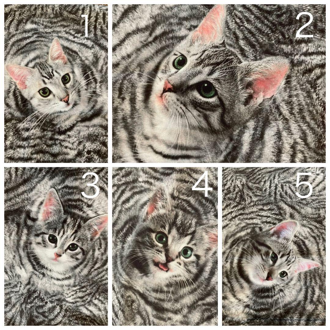 yuki様　お顔確認用です