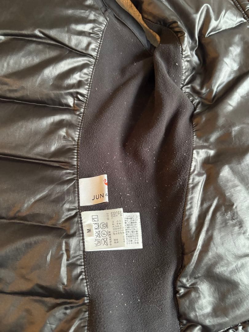 ジュンアントロペセットアップ