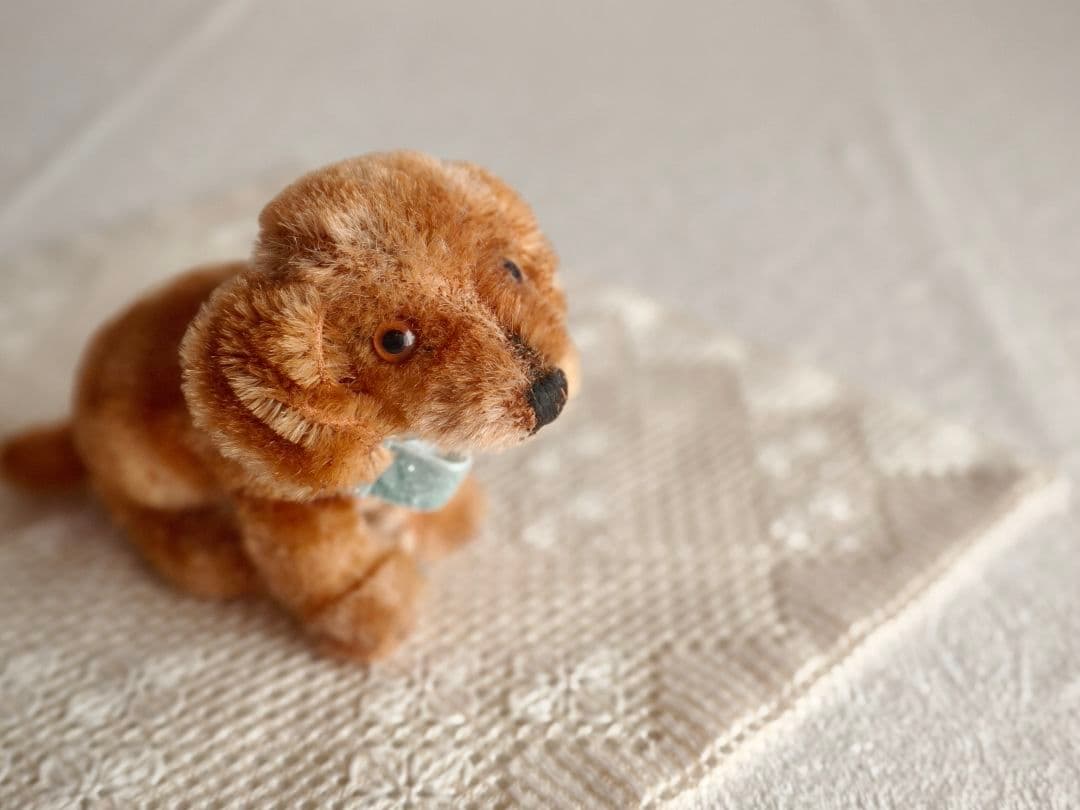 * vintage animal ❀ オレンジグラスアイ *ミニチュア ダックス