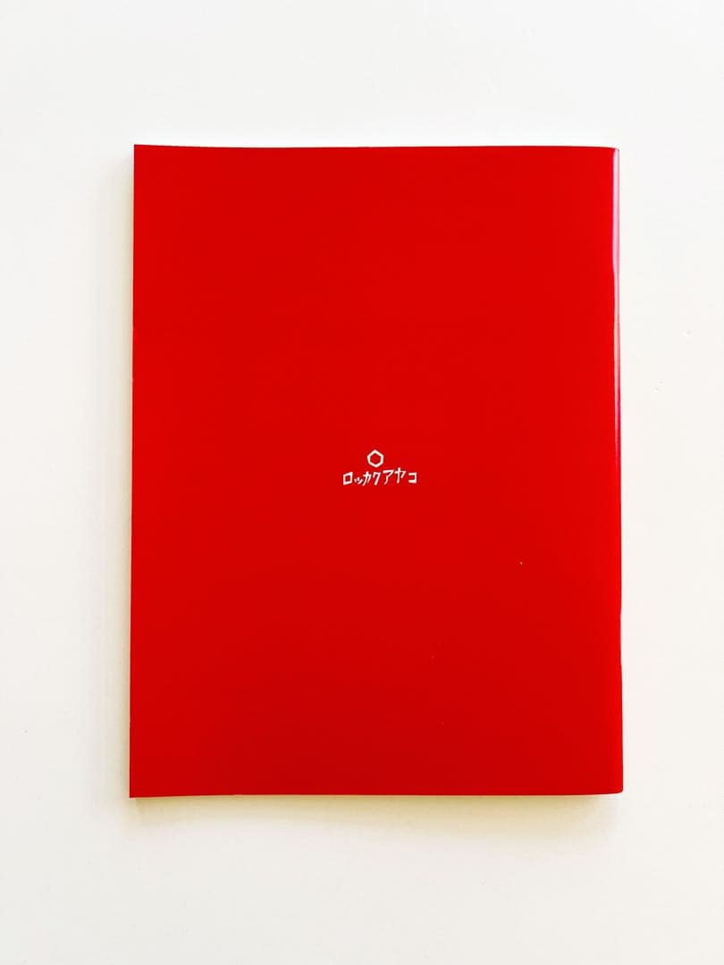 ロッカクアヤコ 千葉県立美術館　1000部限定パンフレット