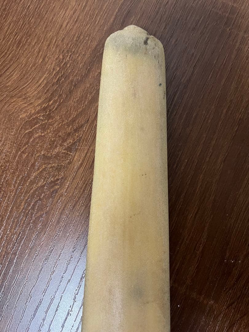 メカジキ 特大 87㎝ 角 吻 カジキ ヴィンテージ