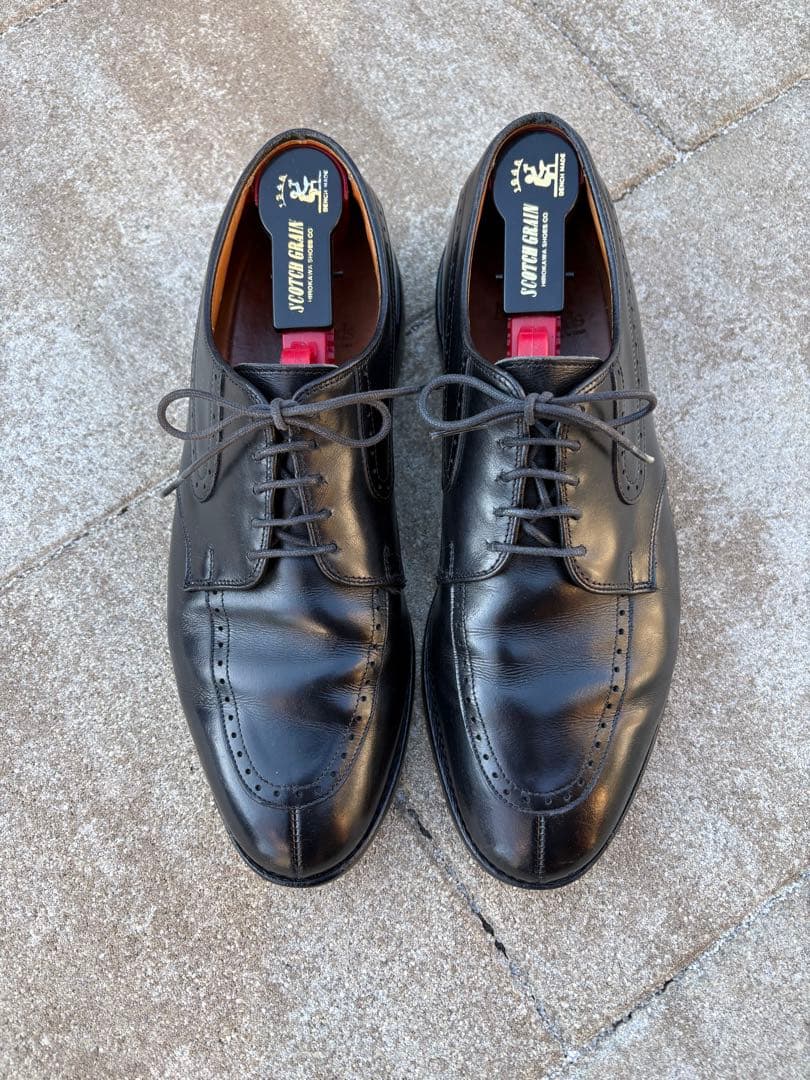 【Allen Edomonds】28㎝　アレンエドモンズ Vチップウィングチップ