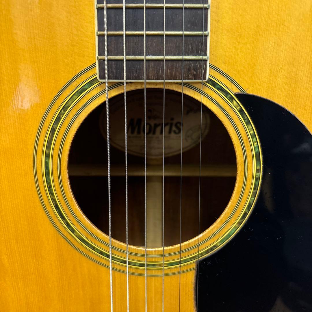 MorriS アコースティックギター