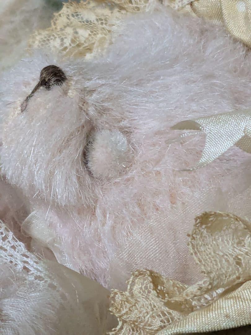 アーティストテディベア