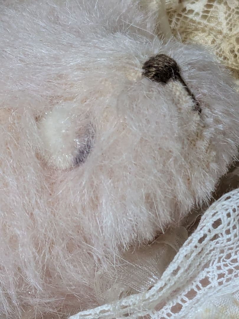 アーティストテディベア