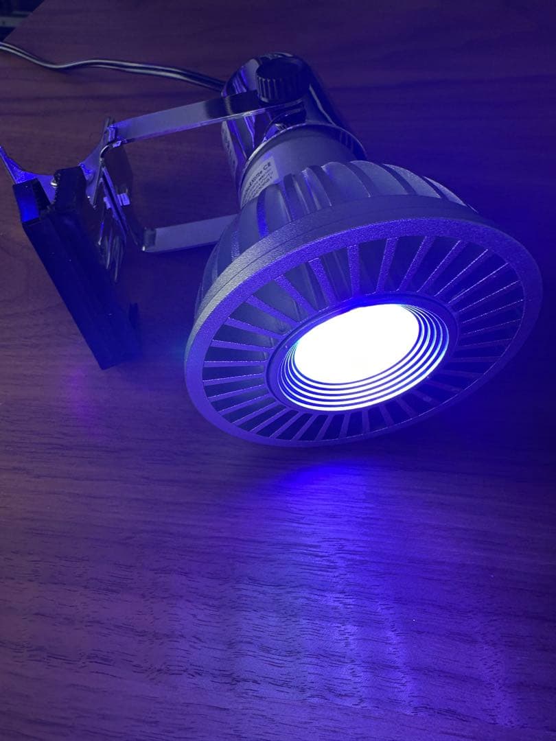 Grassy LeDio RX072e Coral グラッシーレディオ