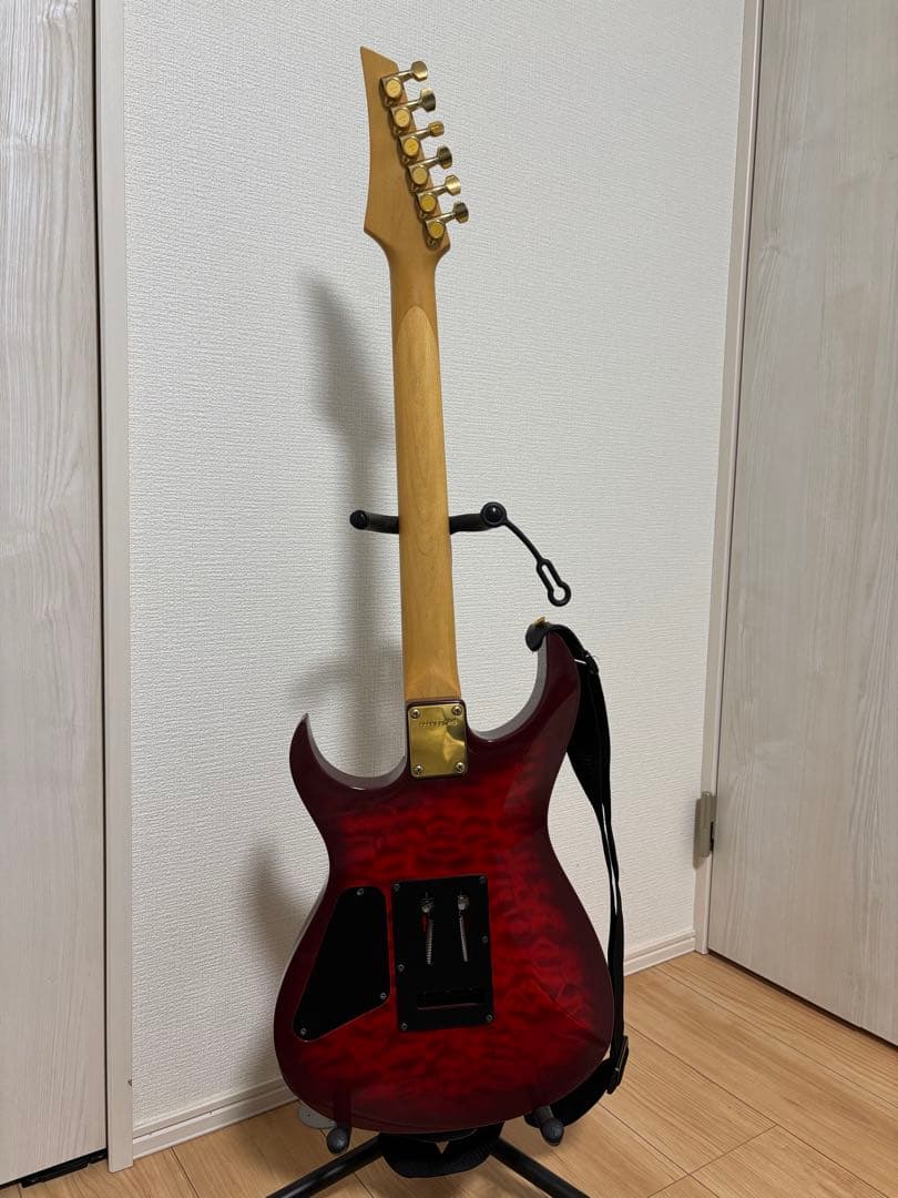 エレキギター FERNANDES ギターケース付き