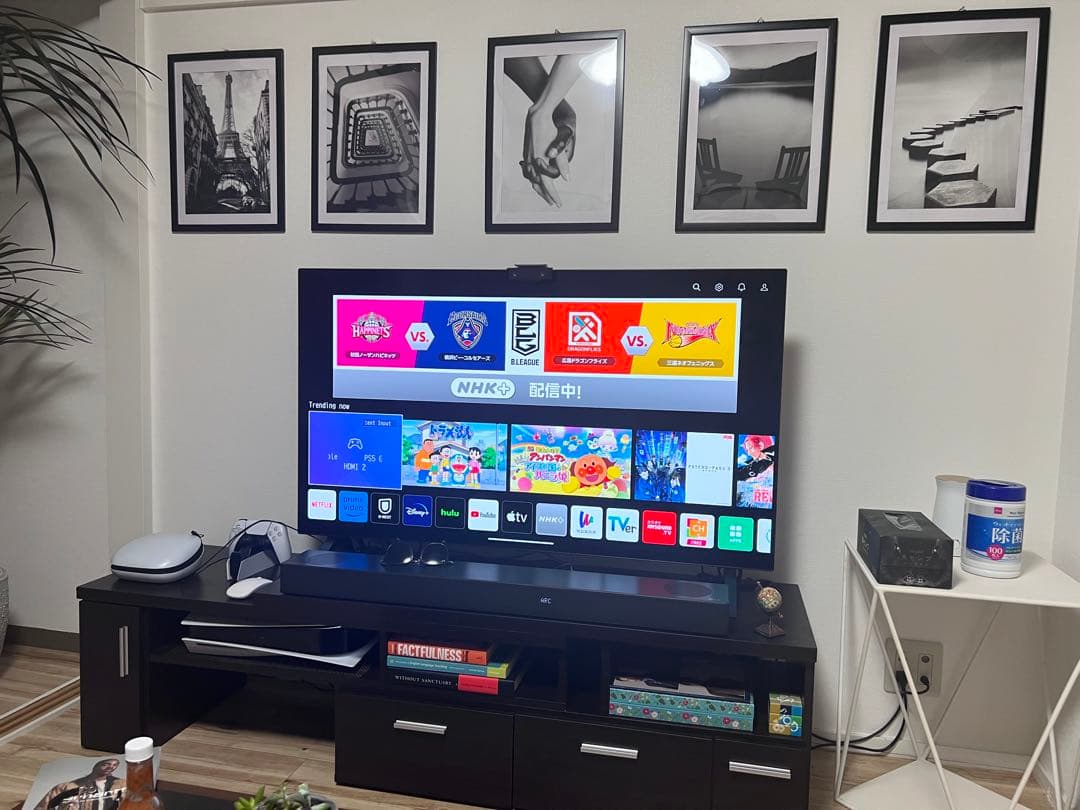 テレビ LG OLED48A1PJA BLACK