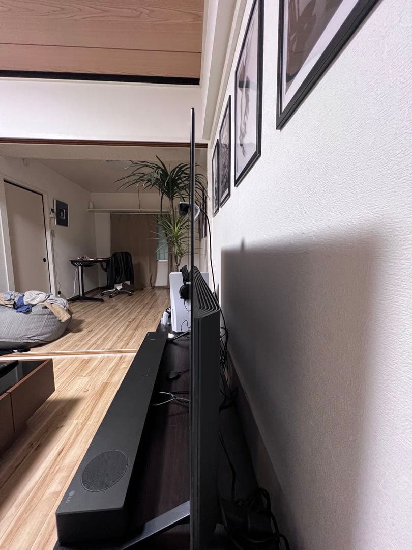 テレビ LG OLED48A1PJA BLACK