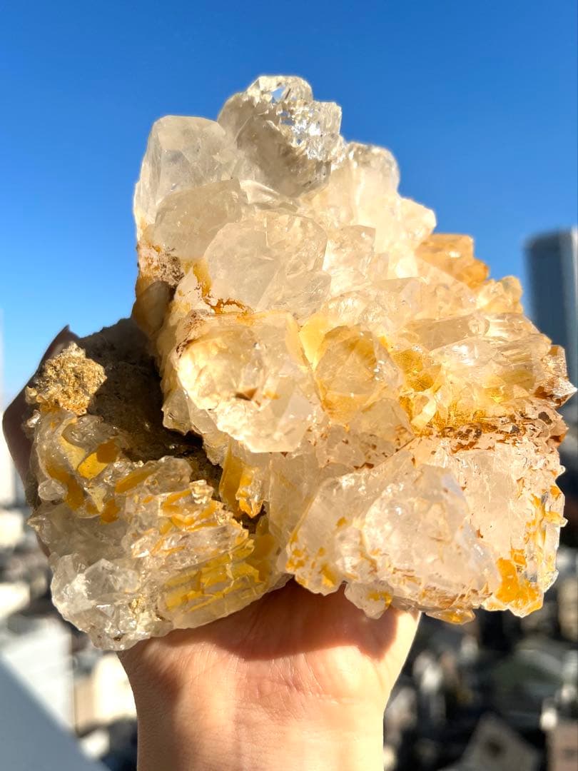 特別価格✨美✨希1.2k✨AAAAAゴールデン ガネッシュヒマール 黄金の華冠✨