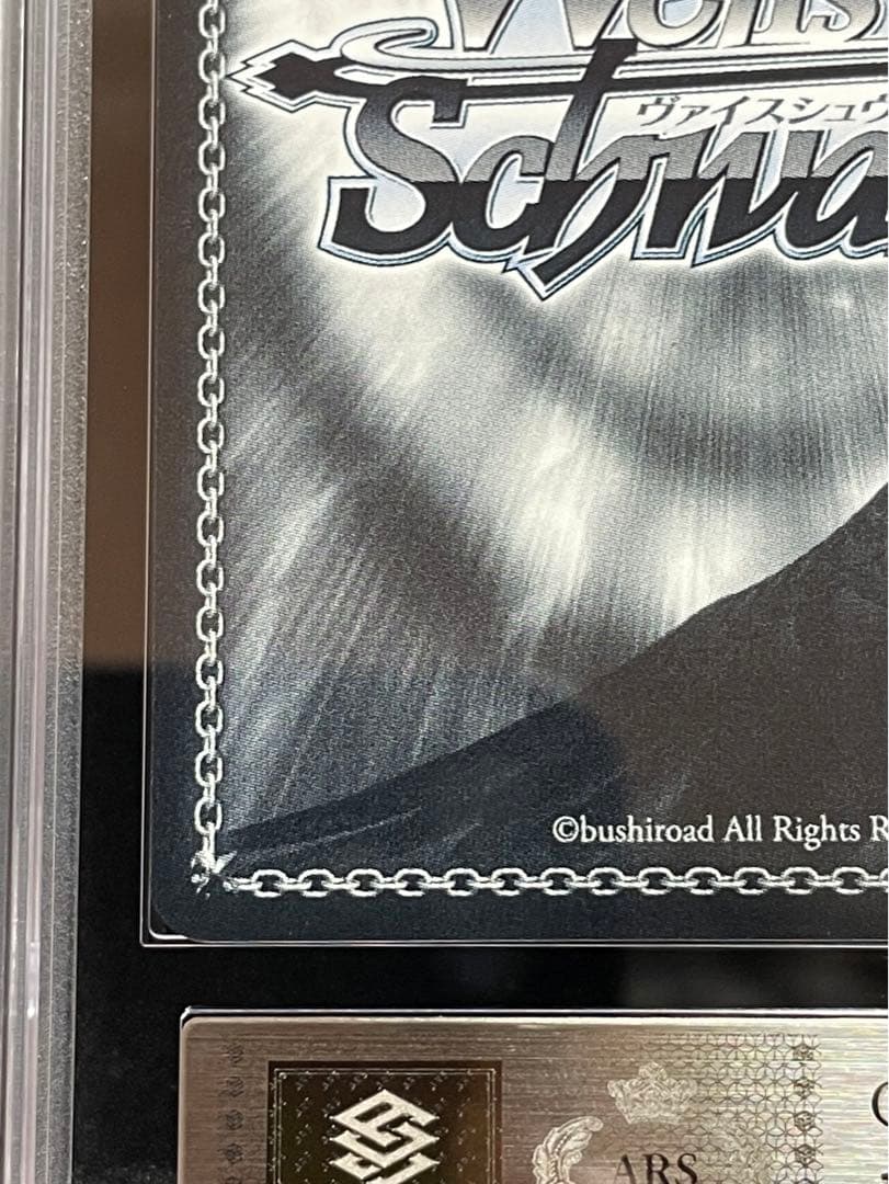 【ARS鑑定 10】浦和ハナコ（水着） SP 箔 サイン