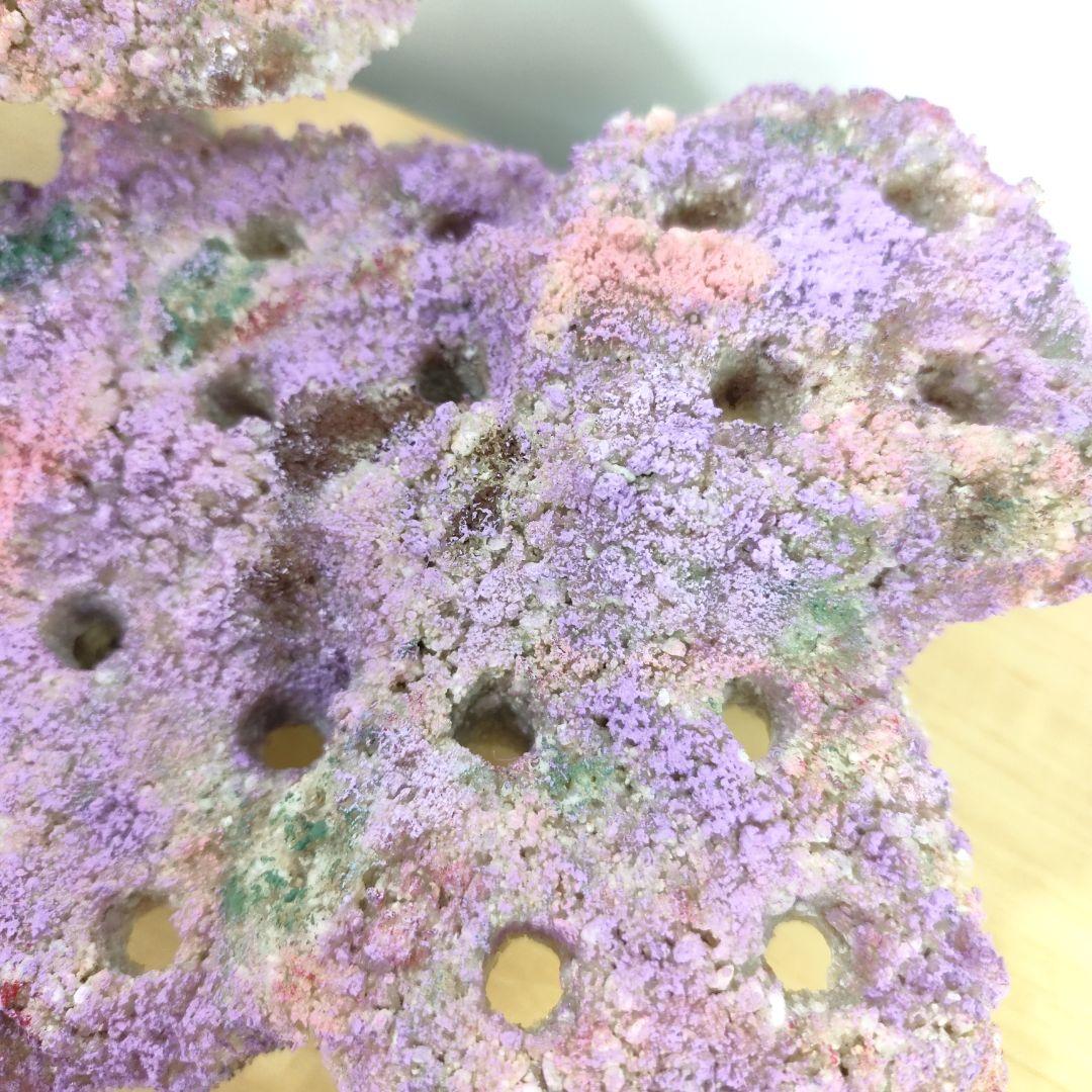 ✐プラグ穴付き 新品 人工ライブロック 60cm海水水槽用 レプリカ 安い3