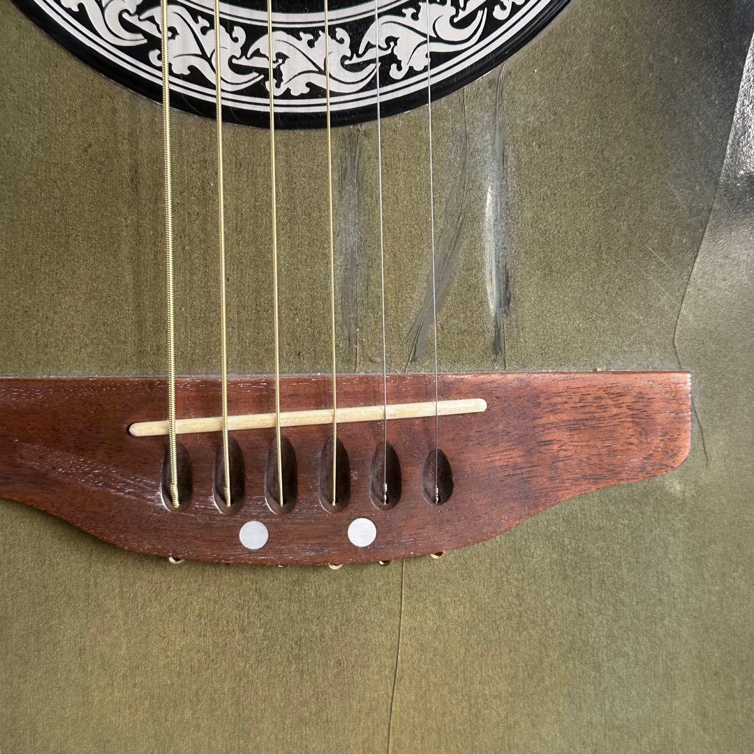 celebrity by ovation エレアコ