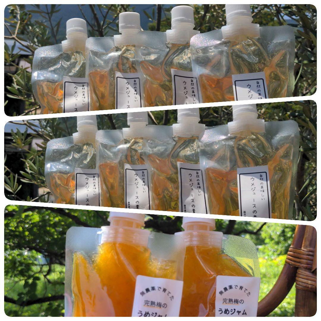 梅ジュースと梅ジャム