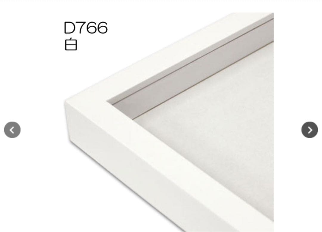 2個セット ラーソンジュール白 大衣 デッサン額 立体額