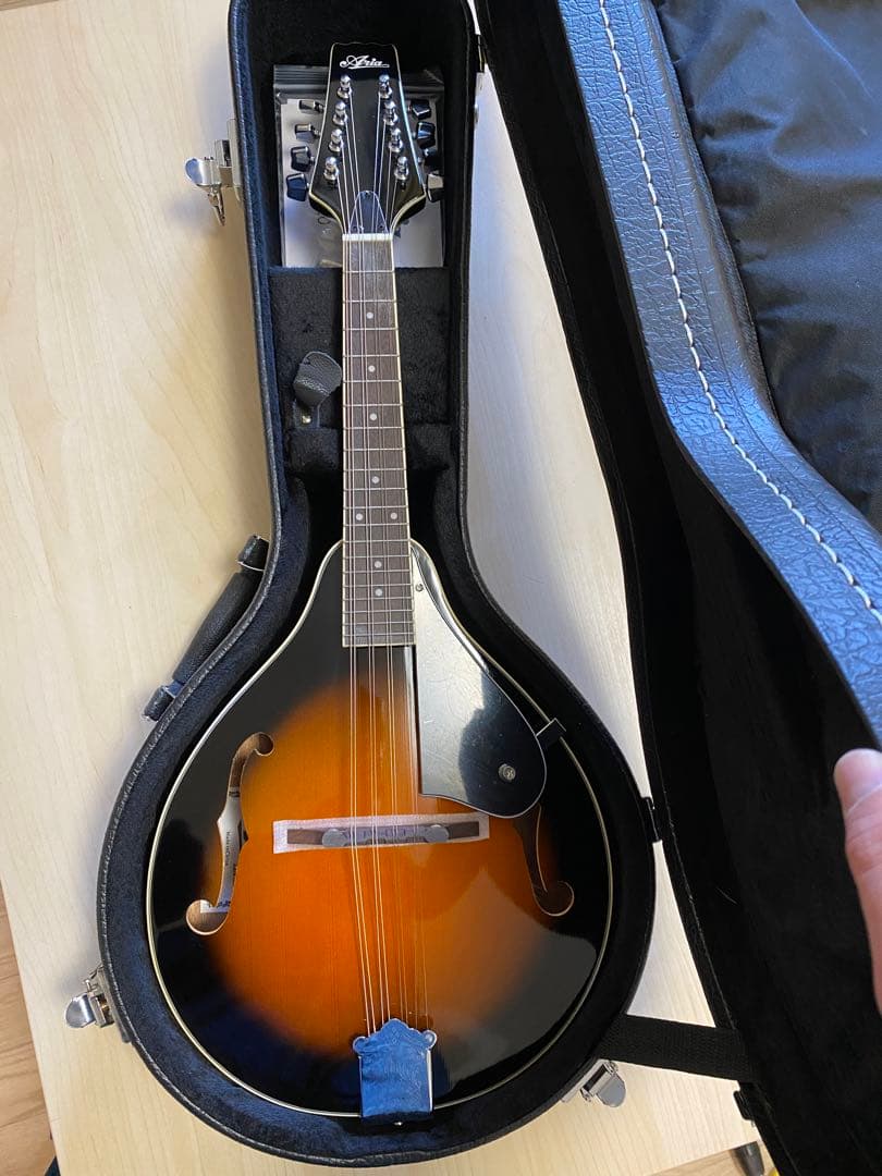 Aria AM-20 フラットマンドリン