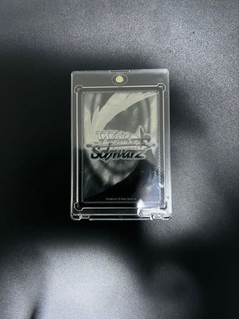 二人きりの時間・・・ パヴォリア・レイネ　SSP