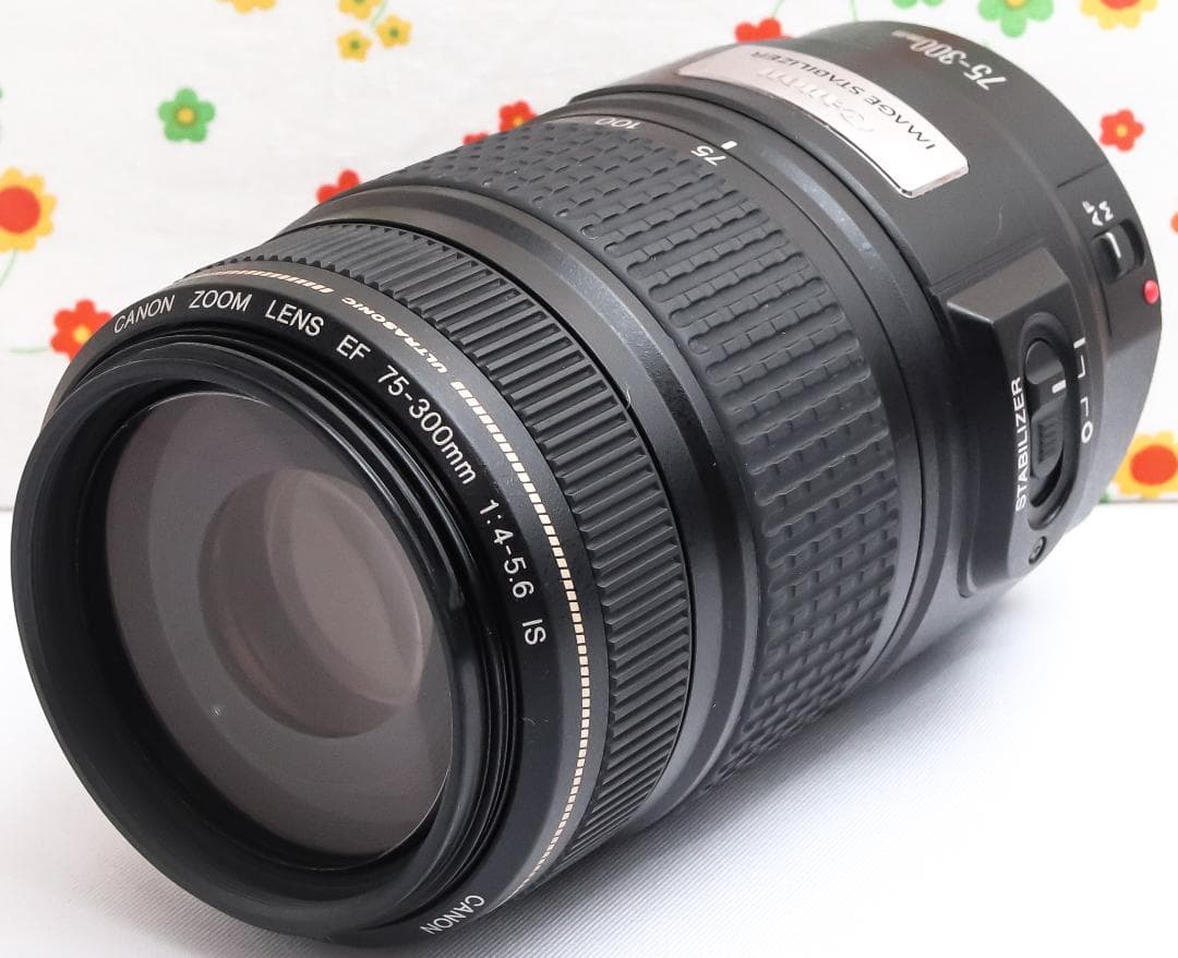 Canon EF 75-300mm IS USM☆遠くの一瞬をブレずに捉える