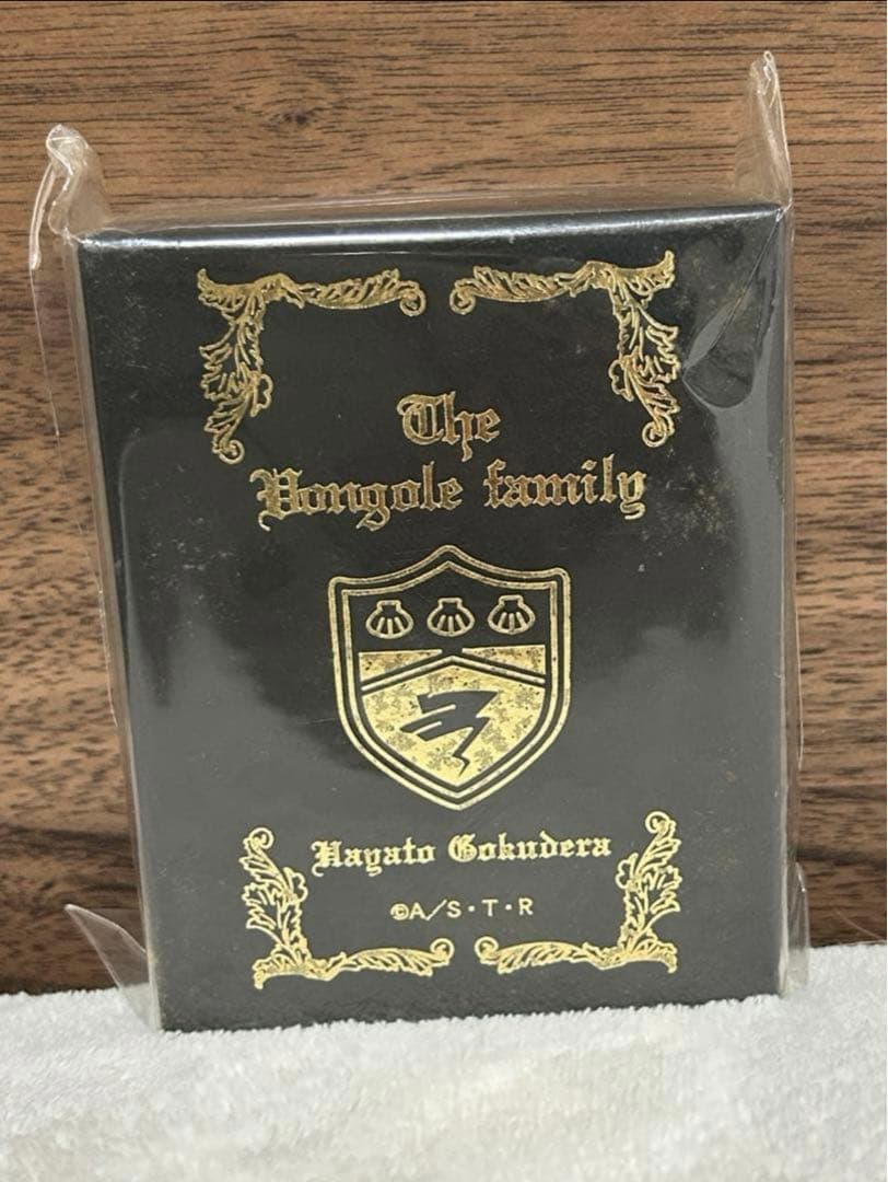 家庭教師ヒットマンREBORN! 嵐のリング 獄寺隼人 13号 ボンゴレリング