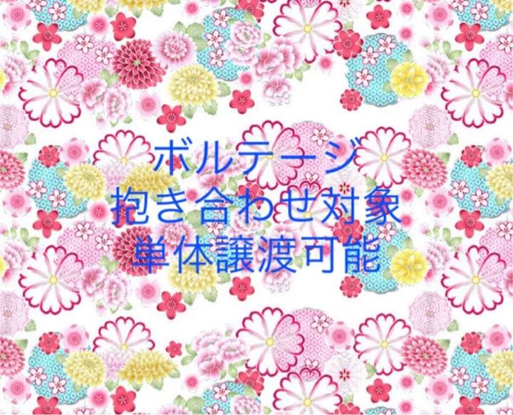 ☆抱き合わせ対象☆ボルテージ 感謝祭 ボルフェス 宴